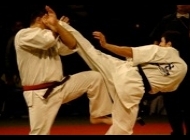 Oleski Klub Karate RONIN